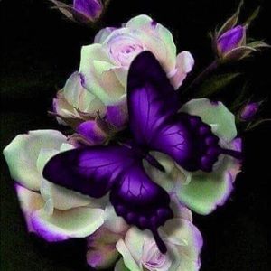 Meet your Posher, Darlene